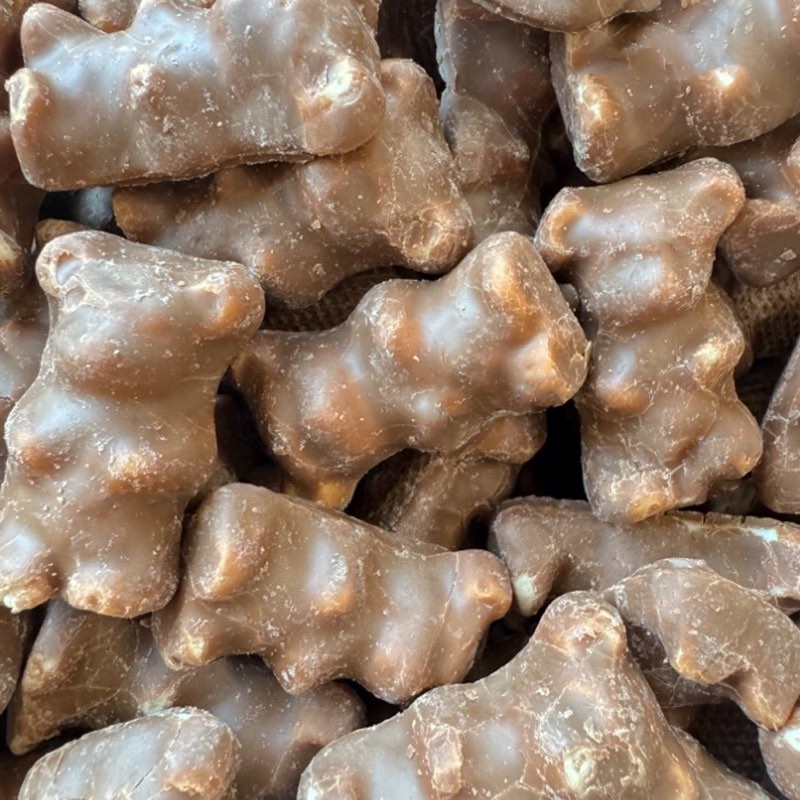 Dals Chocolate Covered Bears