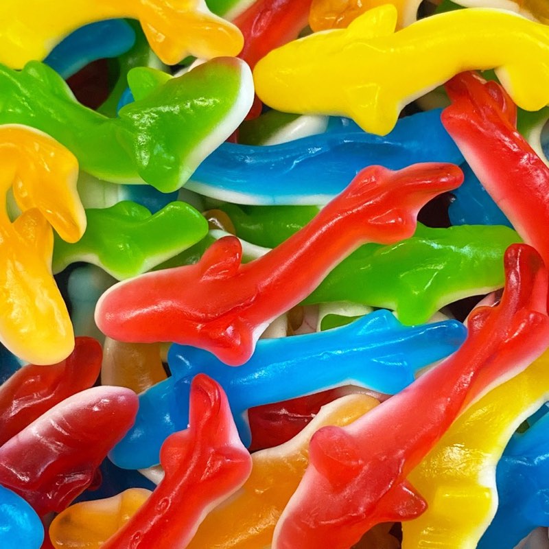Kingsway Jelly Sharks